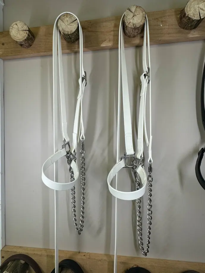 Licou et laisse de présentation (ensemble)