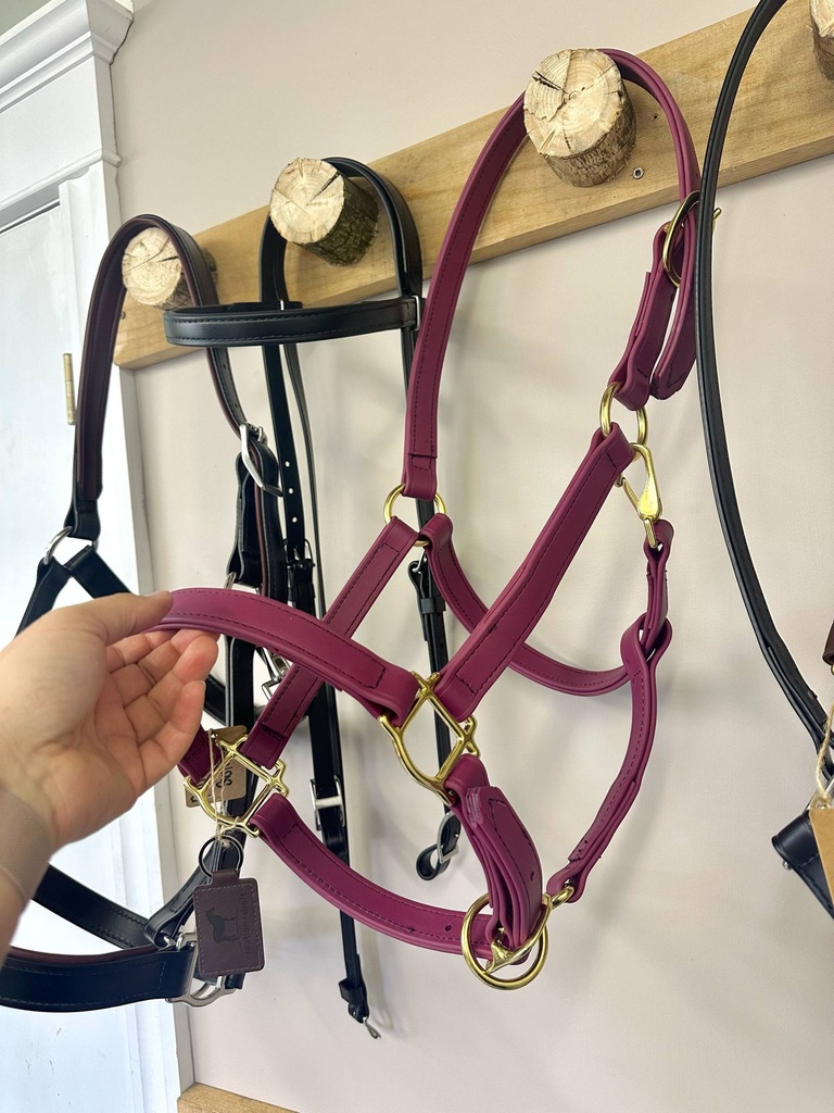 Licou biothane Magenta