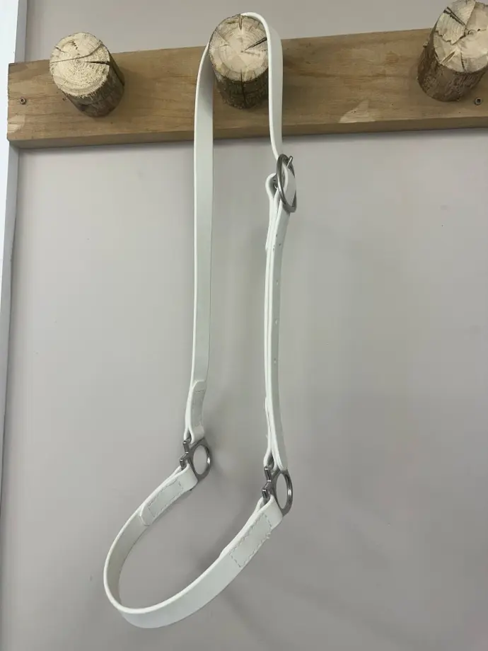 Licou de présentation blanc pour poulain