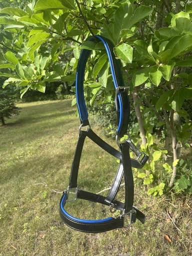 Licou granite padding en cuir Turquoise